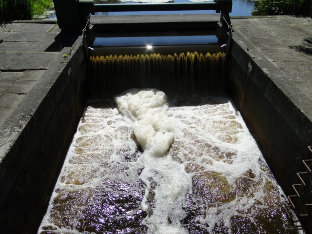 2011HWK 151.jpg